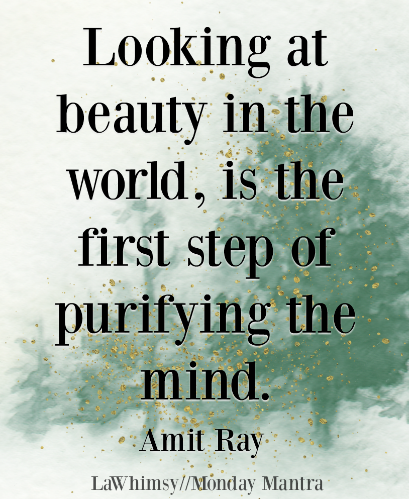 Looking at beauty in the world, is the first step of purifying the mind Amit Ray quote Monday Mantra 214 via LaWhimsy