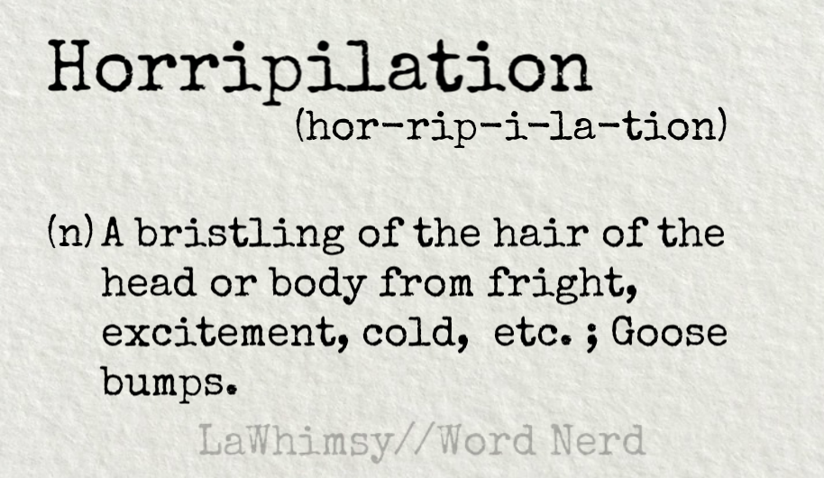 horripilation definition Word Nerd via LaWhimsy